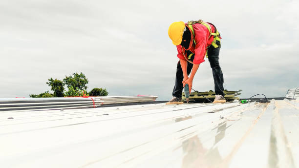 Best Asphalt Shingles Roofing  in Chatfield, MN