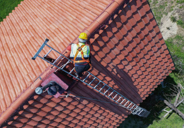 Best Asphalt Shingle Roofing  in Chatfield, MN