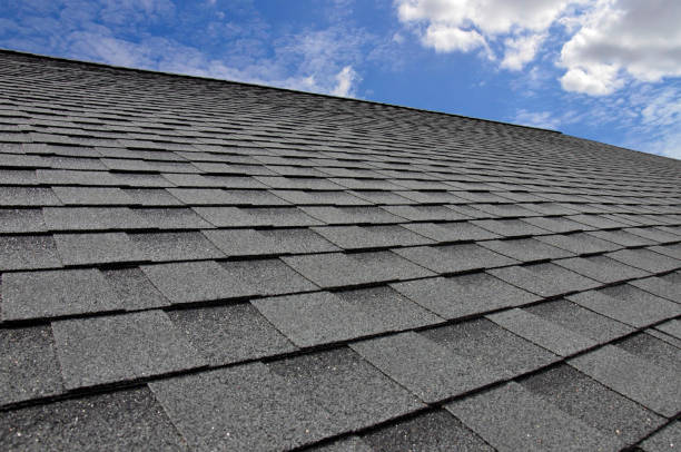 Best Roofing for New Construction  in Chatfield, MN