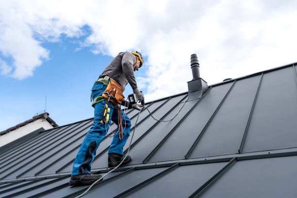 Best Gutter Installation and Repair  in Chatfield, MN